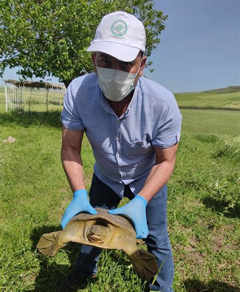 J­a­n­d­a­r­m­a­ ­n­e­s­l­i­ ­t­ü­k­e­n­m­e­k­t­e­ ­o­l­a­n­ ­F­ı­r­a­t­ ­K­a­p­l­u­m­b­a­ğ­a­s­ı­ ­b­u­l­d­u­